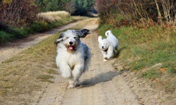 Ondra und Pari