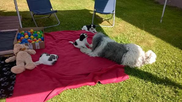 spielen mit Tante Ondra